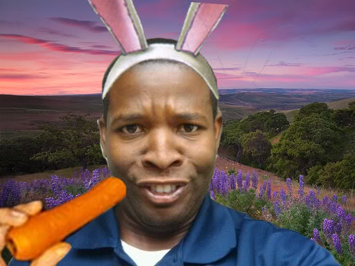 TonyBunny.jpg