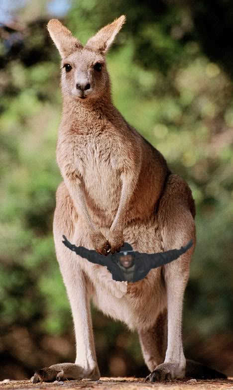 Tonyroo.jpg