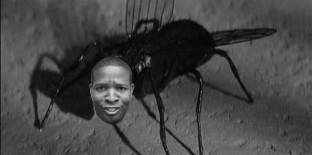 Tonythefly.jpg