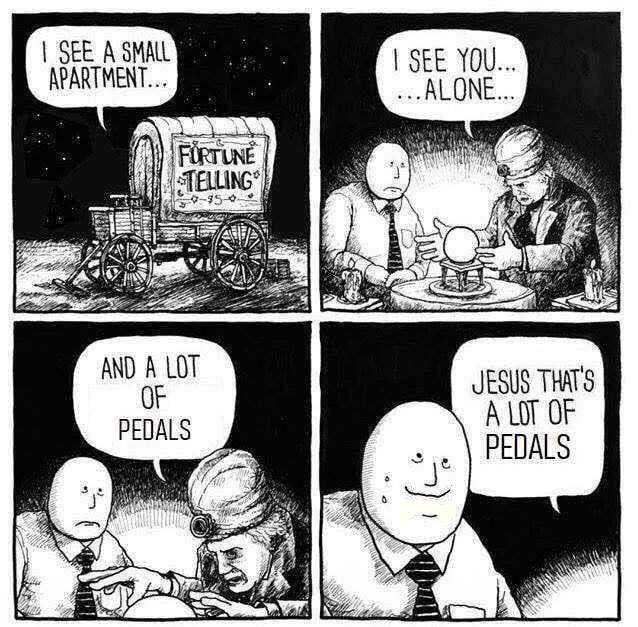 TooManyPedalsMeme.jpg