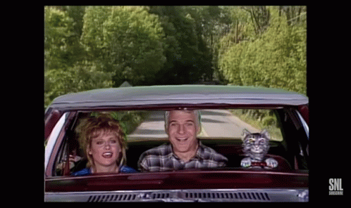 toonces-the-driving-cat-drivers-test.gif