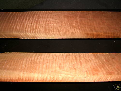 Top-Back.jpg