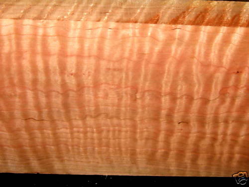 Top-Closeup1.jpg