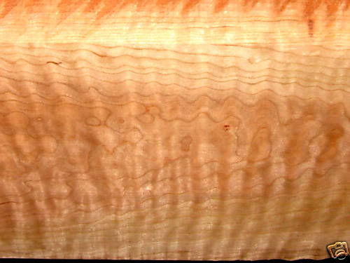 Top-Closeup2.jpg