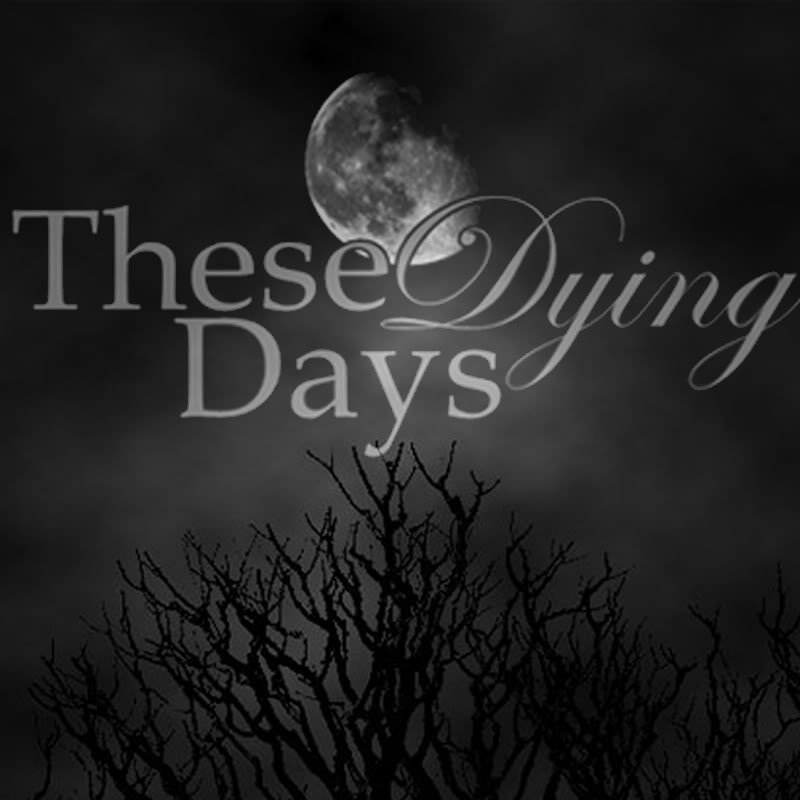 topbanner.jpg