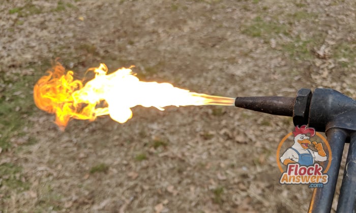 torch-flame.jpg