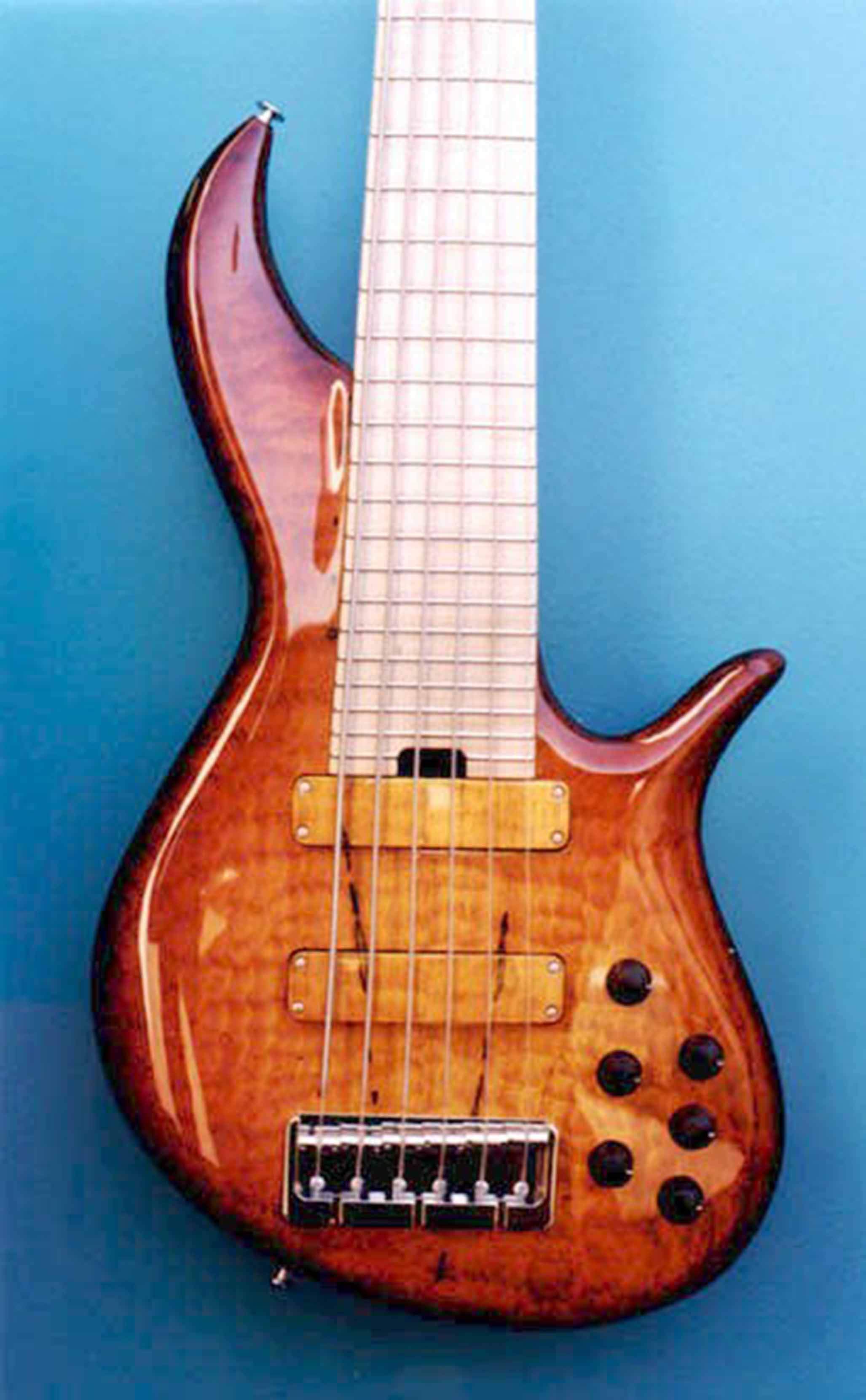 torgalson2.jpg