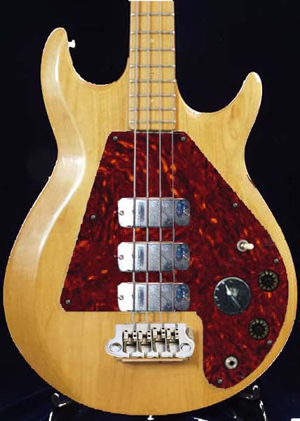 tortbirdpickguard.jpg
