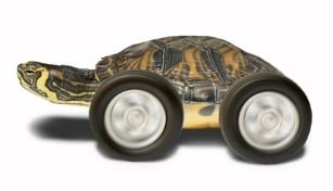 tortCar.jpg