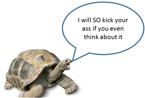 Tortoise.png