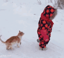 tot.gif