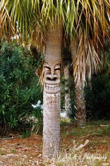 totemtree.jpg