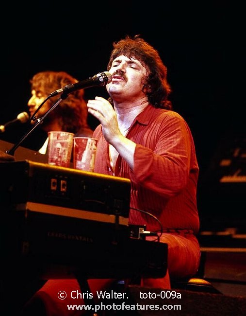 toto-009a.jpg