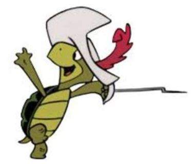 Touche Turtle.JPG