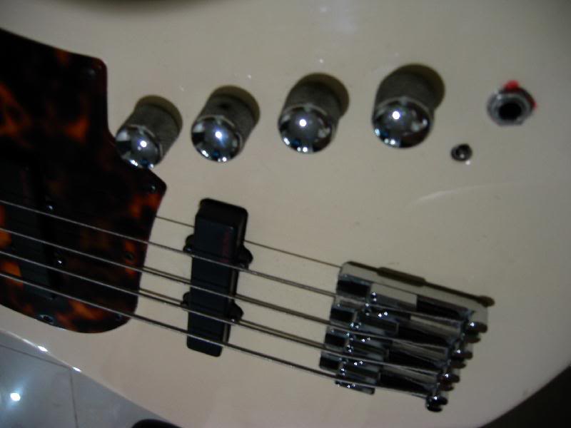 TraceElliot_T_Bass_1.jpg