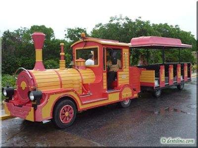 trainpueblolaestrella.jpg