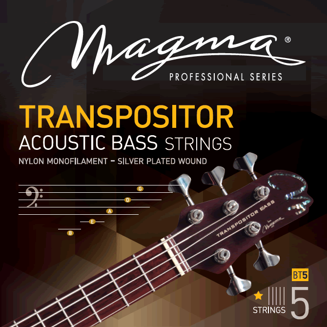 Transpositor strings.png