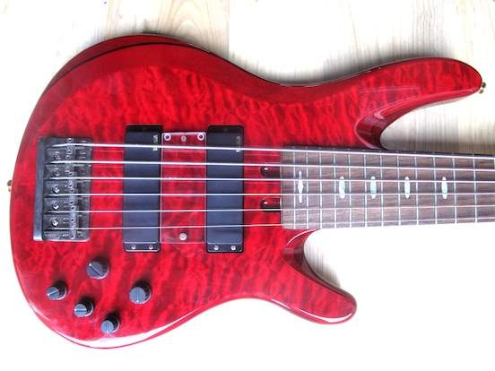 TRB1006_pickups_upsidedown.JPG