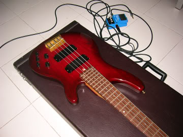 TRB5II-body2.jpg