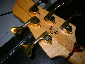 TRB5II-headstockbacl.jpg