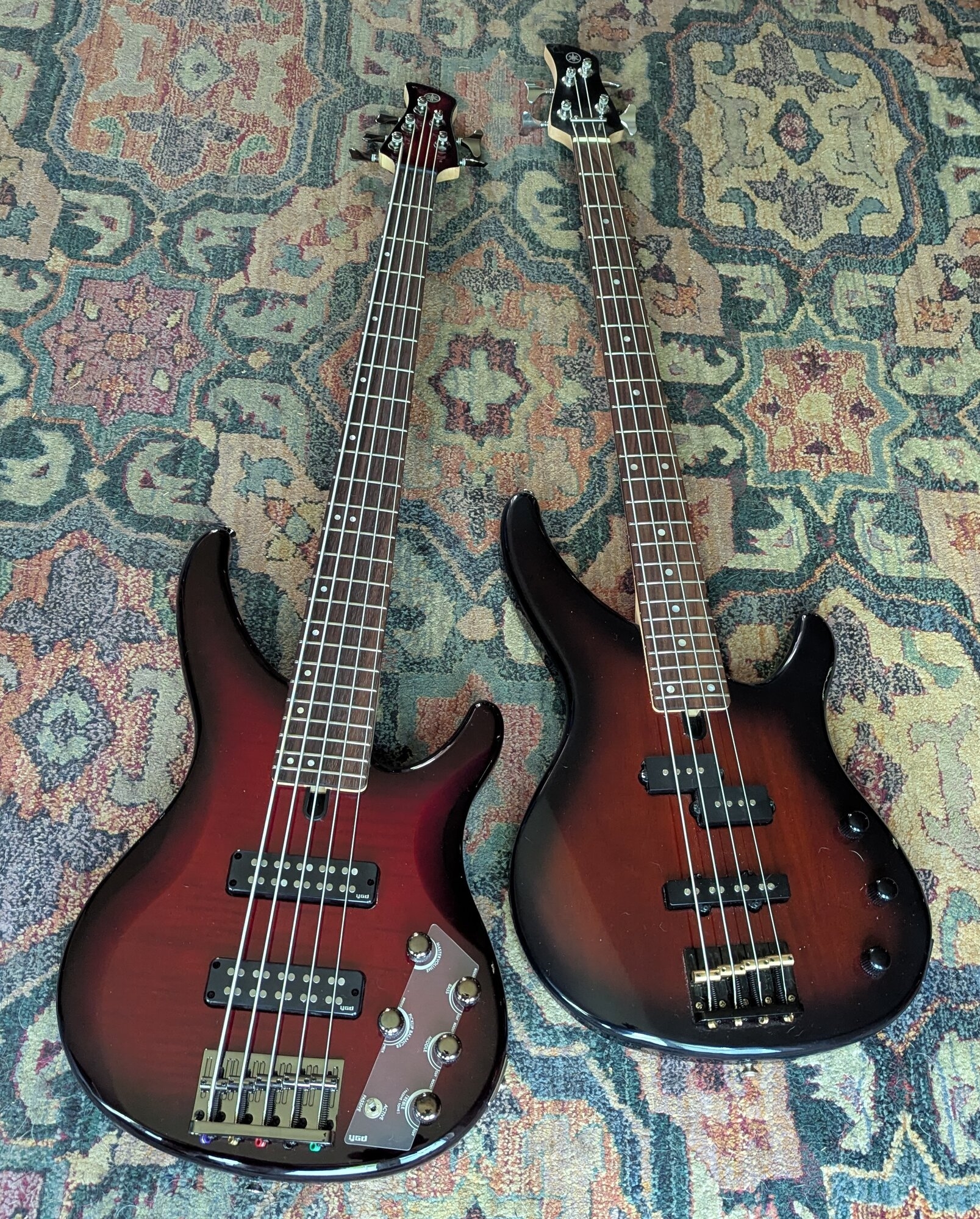 trbxTwins2025.jpg