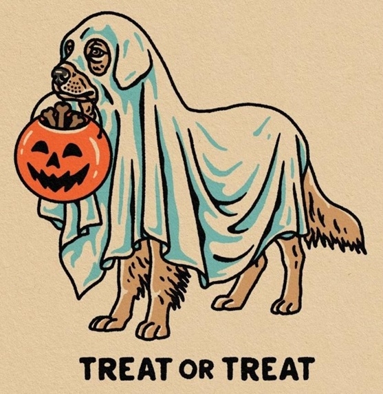 treat dog.jpg