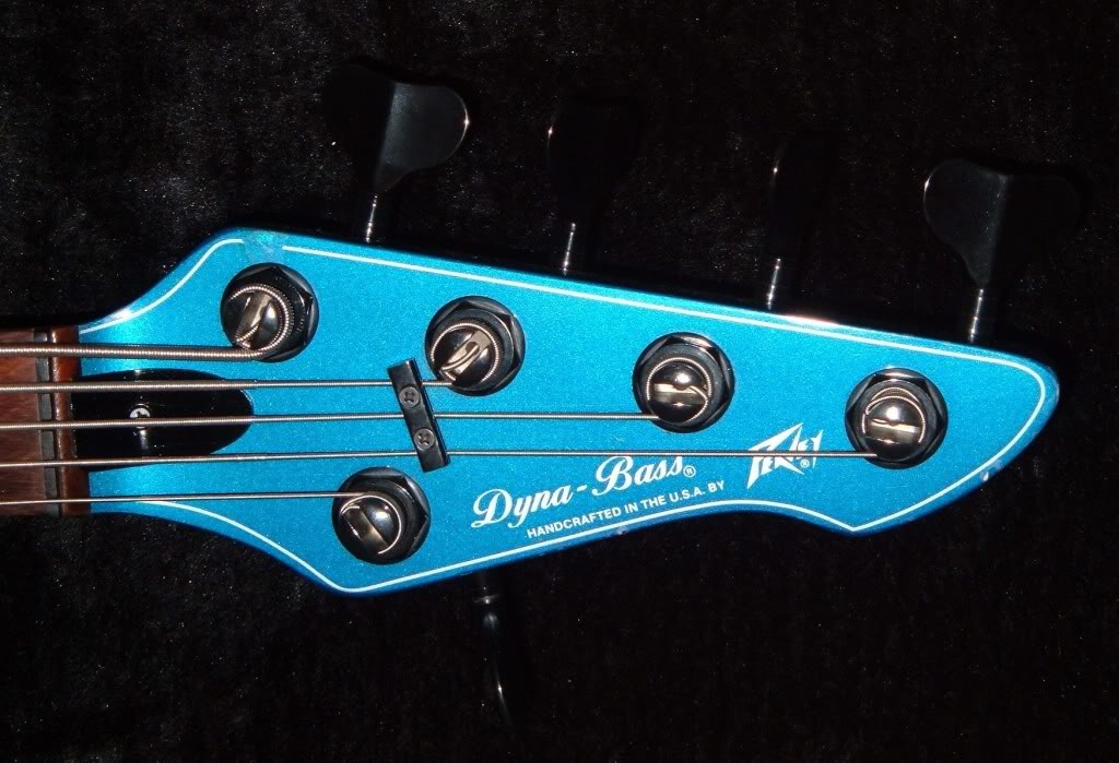 Tree.jpg