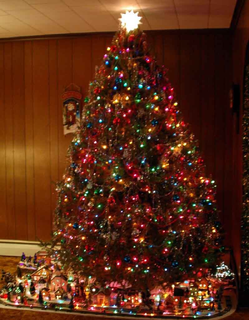 tree1.jpg