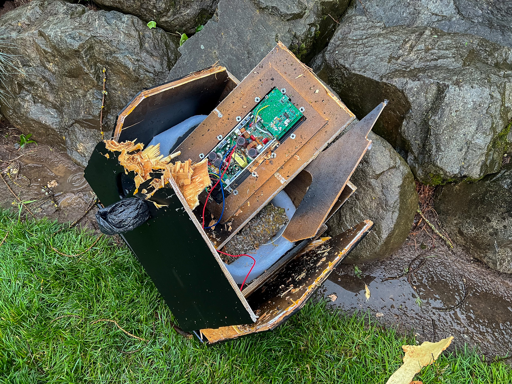 TreeFAIL-speaker-1.jpg