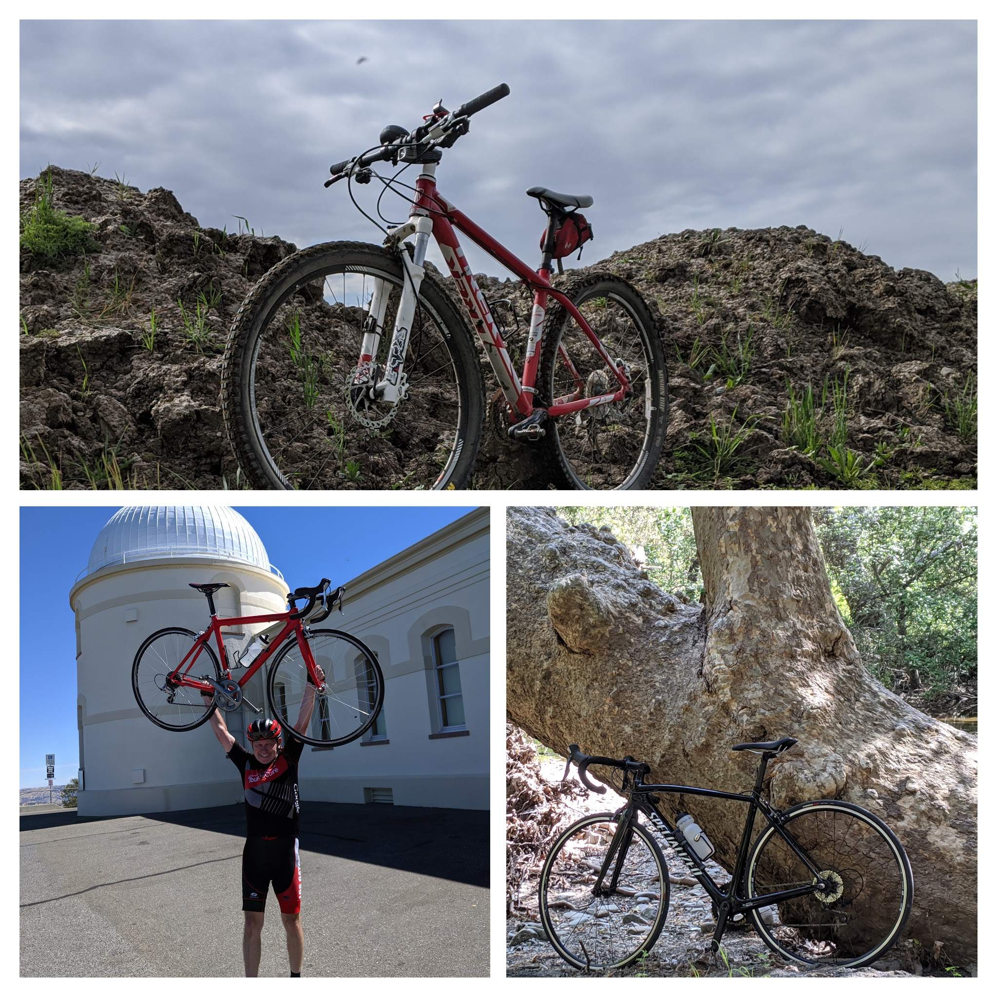 Trek Specialized and Ibis.jpg