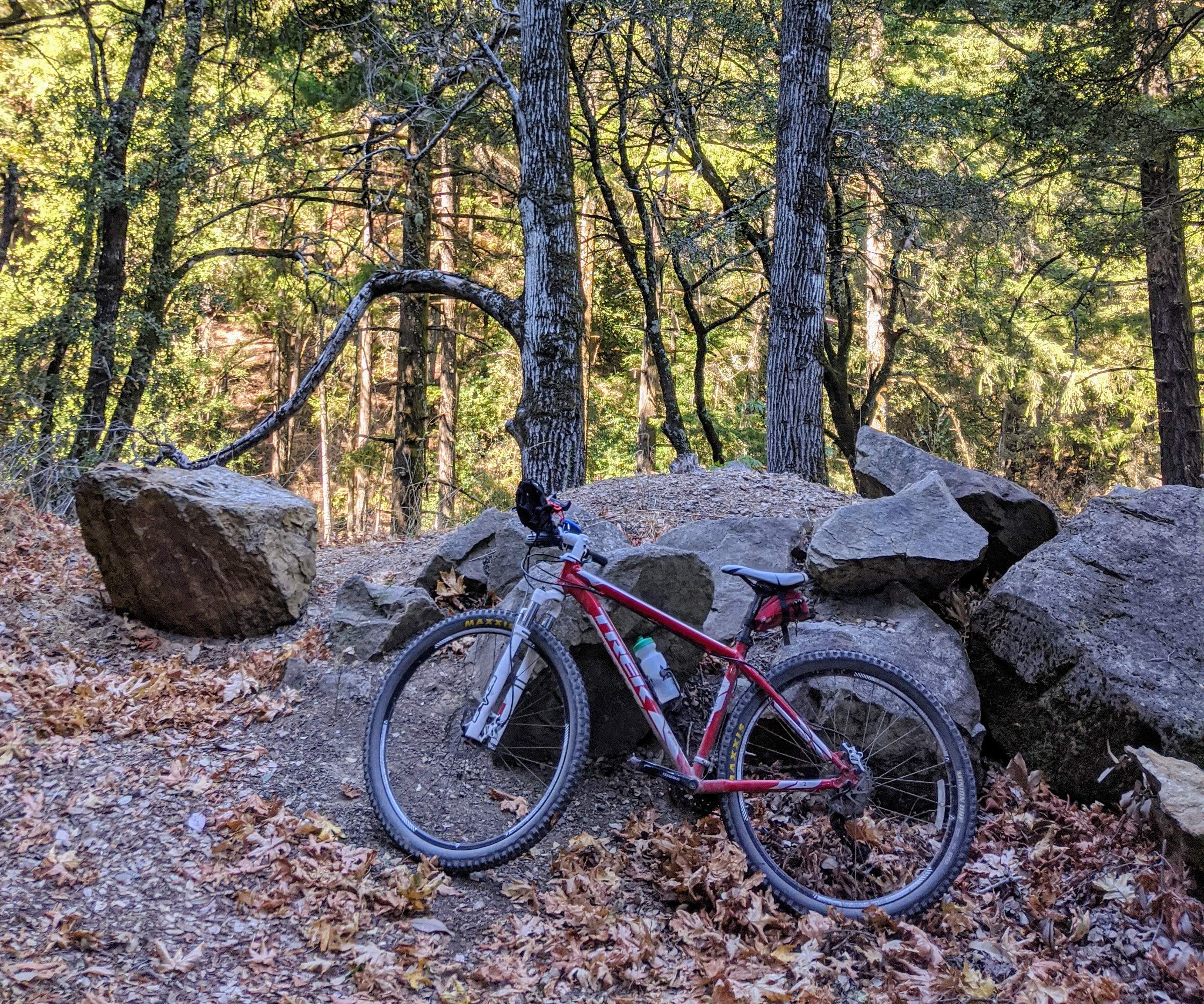 Trek_hardtail.jpg