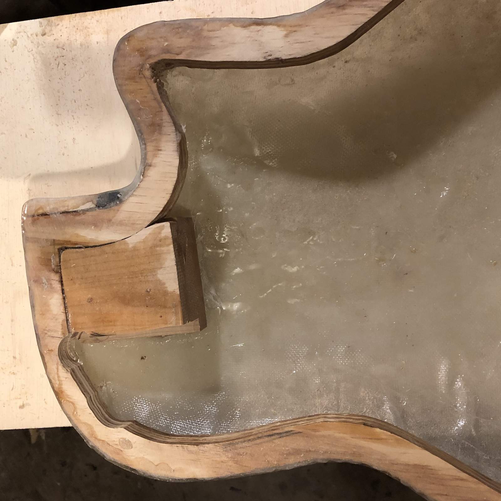 trimholearea.jpg