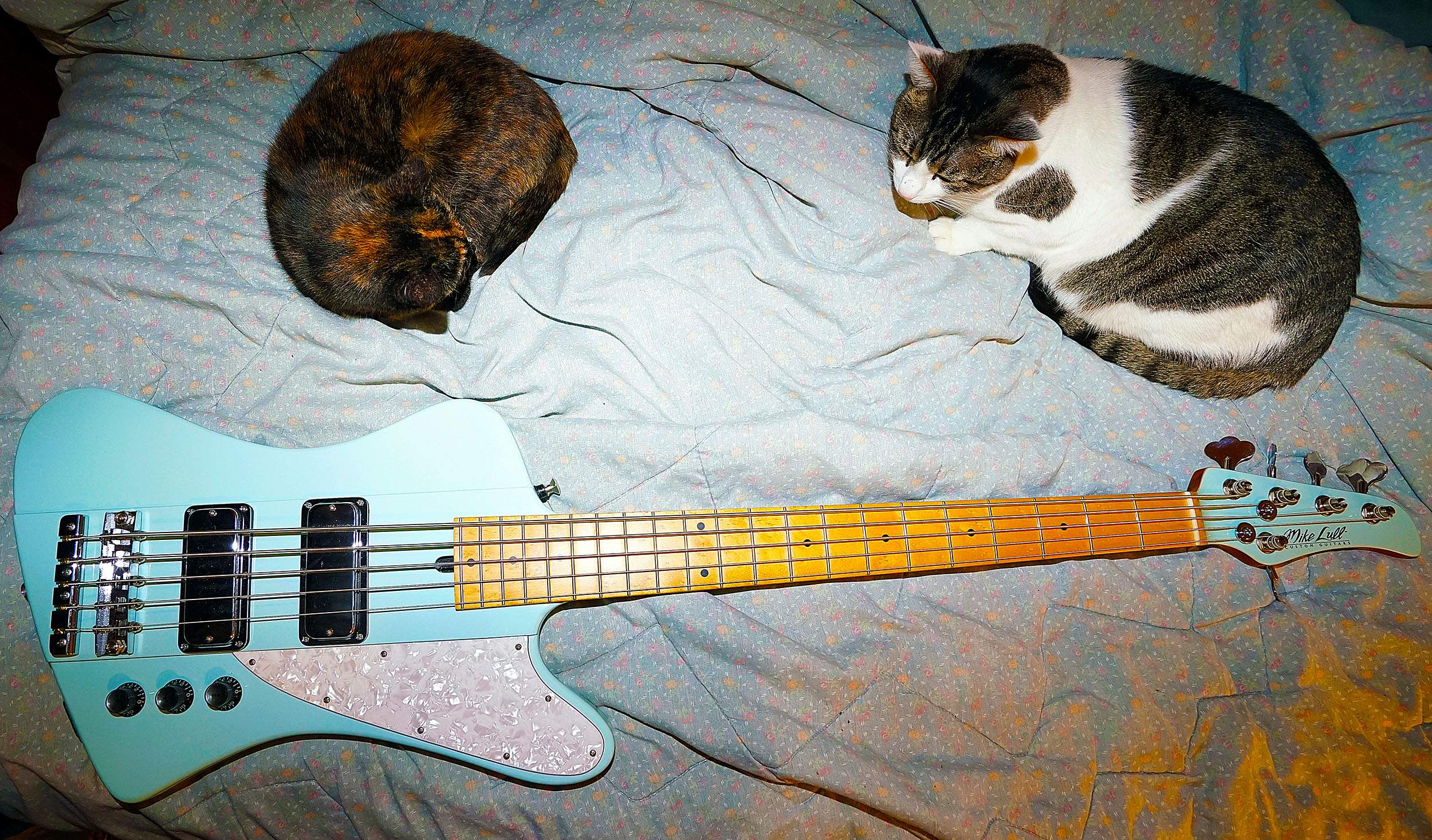 trio 2.jpg