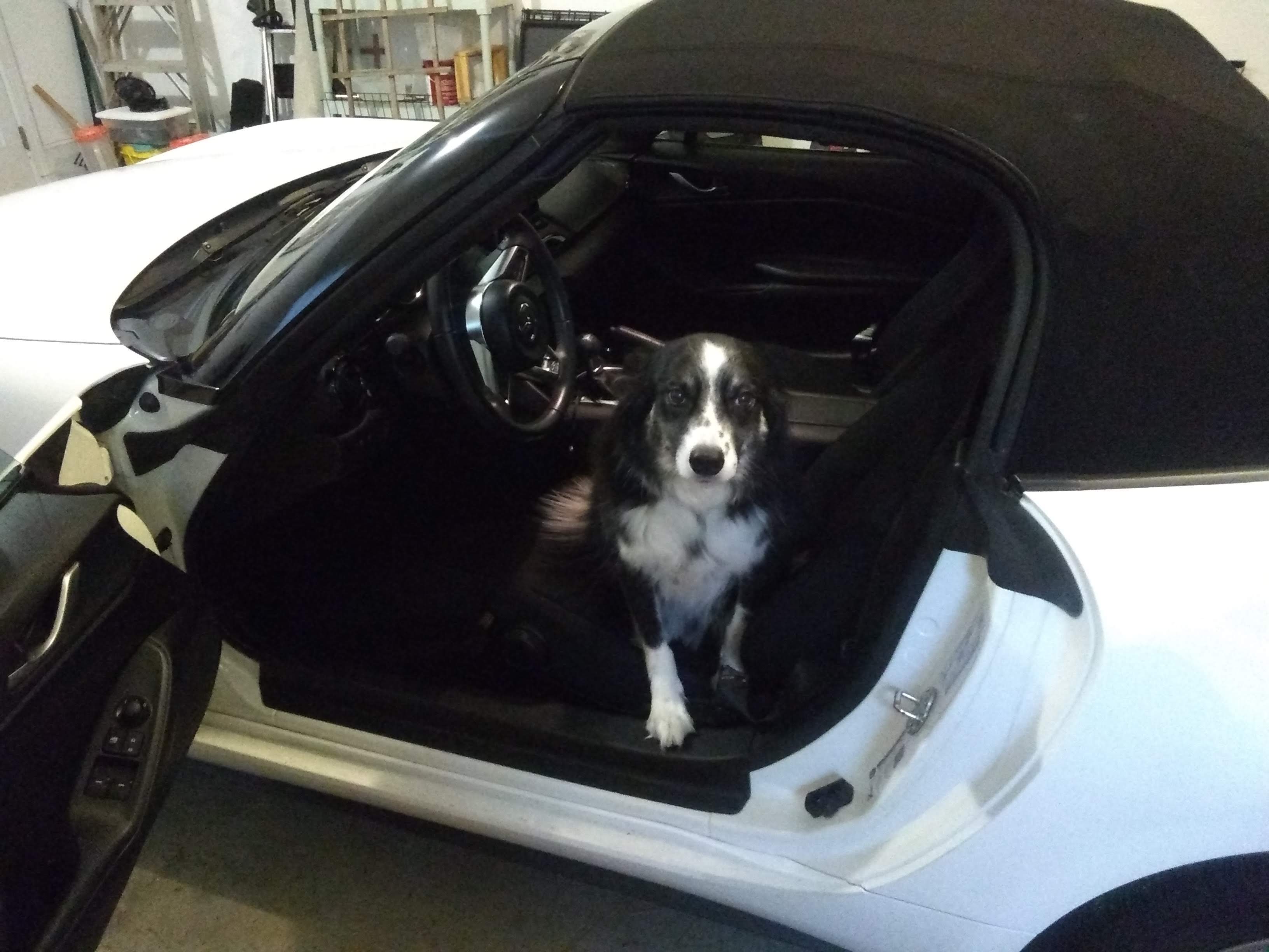 Tripp in Miata.jpg
