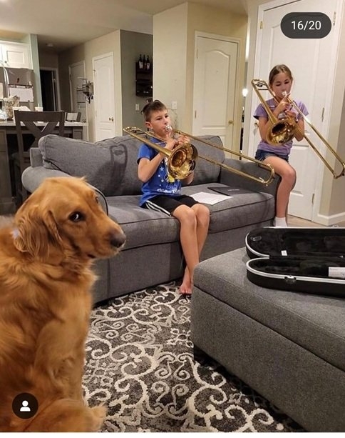 trombone dog.jpg