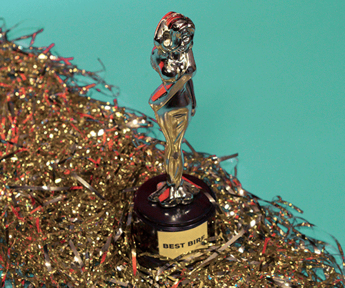 trophy.gif
