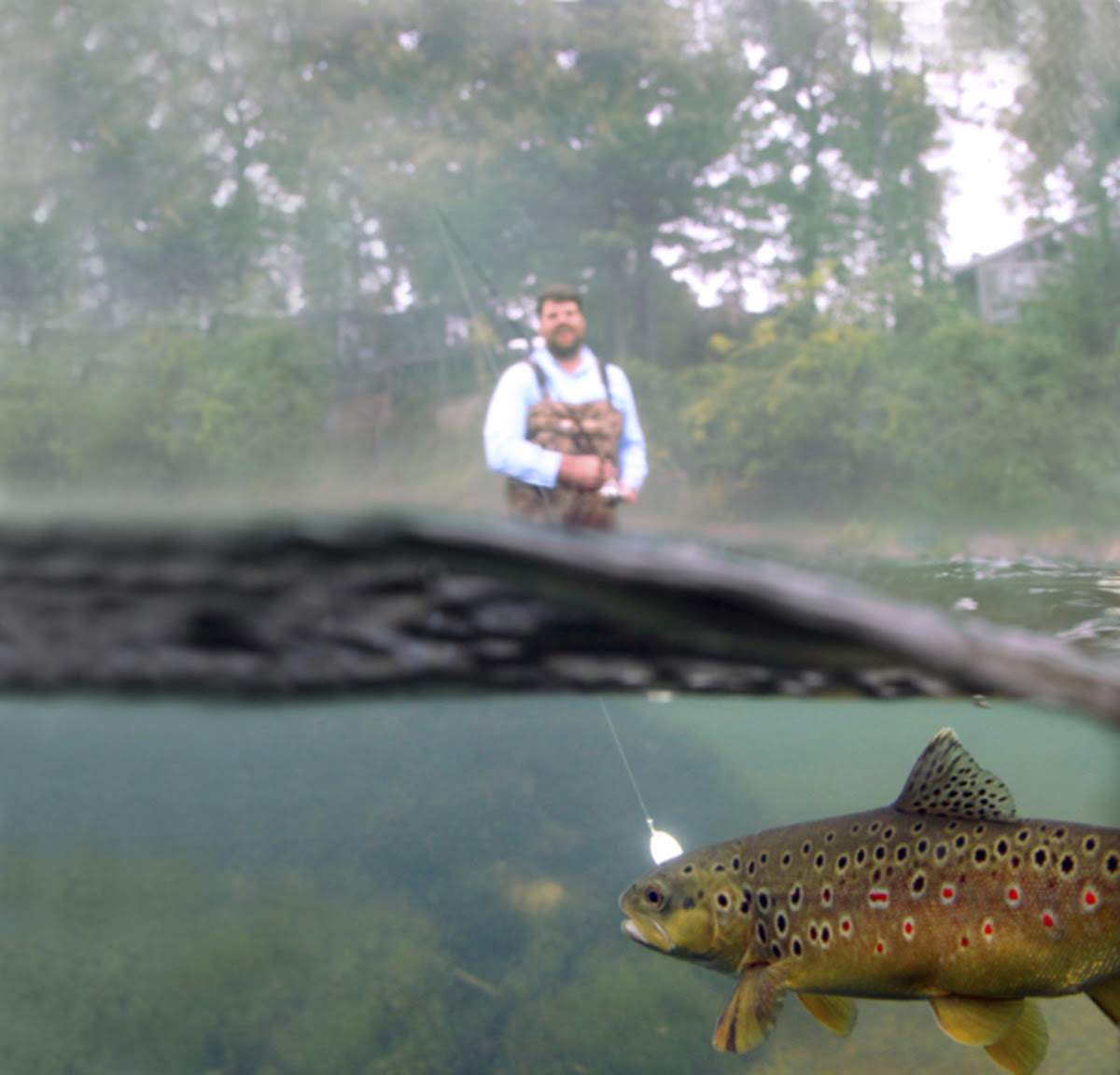 trout surface1.jpg