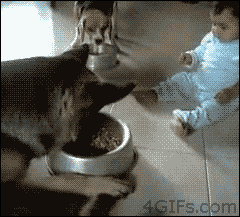 tugofwar.gif