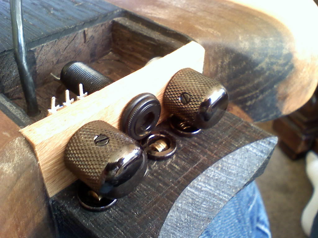 TulipBassElectronics.jpg