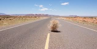 tumbleweed.png