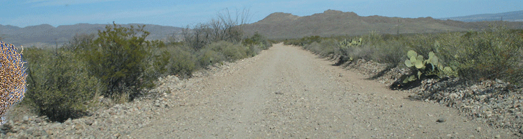 Tumbleweed1.gif