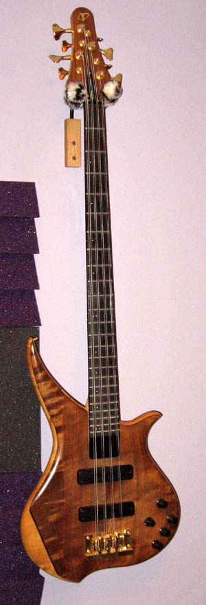 tune_8string.jpg