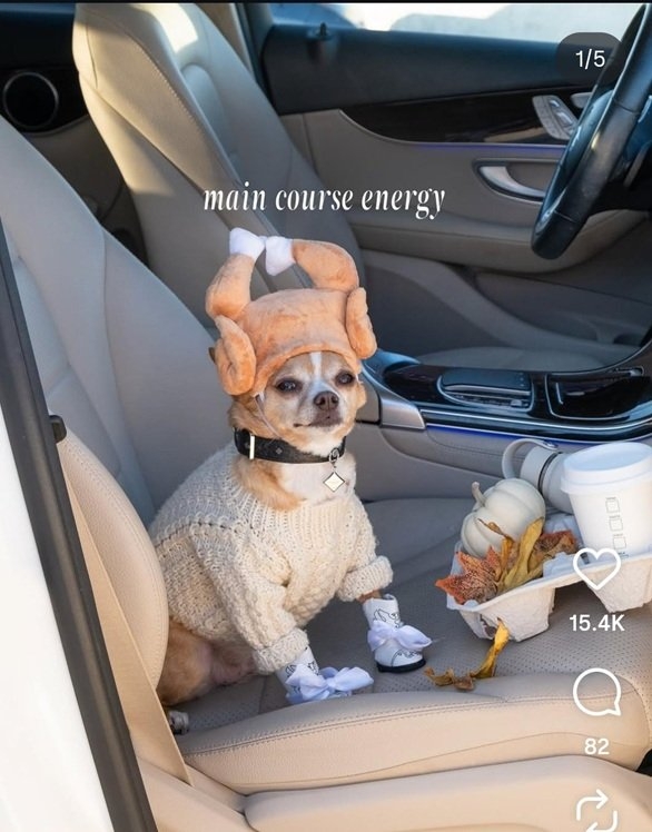 turkey dog.jpg
