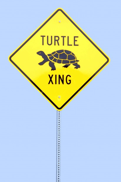 turtle-crossing-sign.jpg