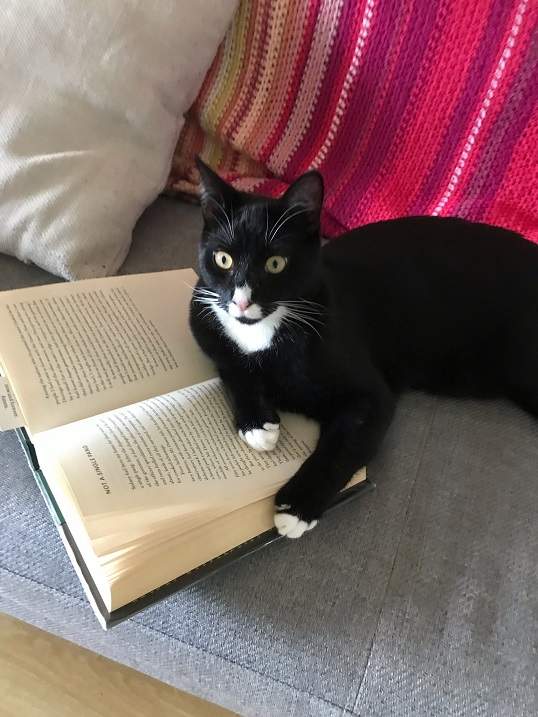 tux cat book.jpg