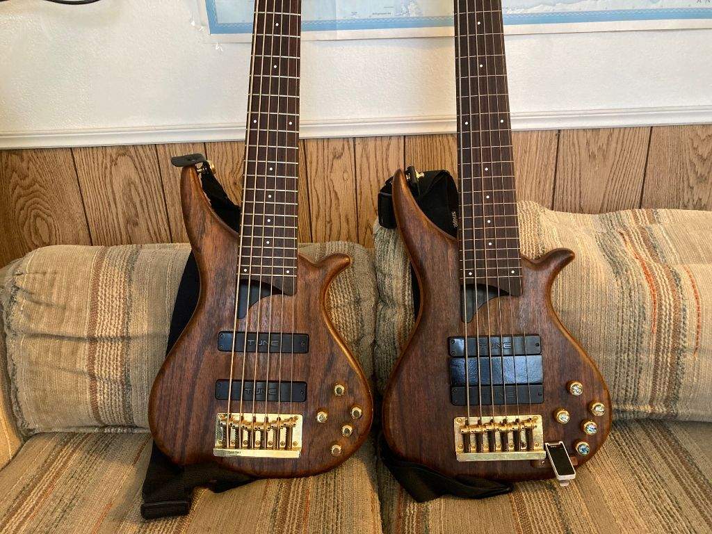 Twb New Twins.jpg