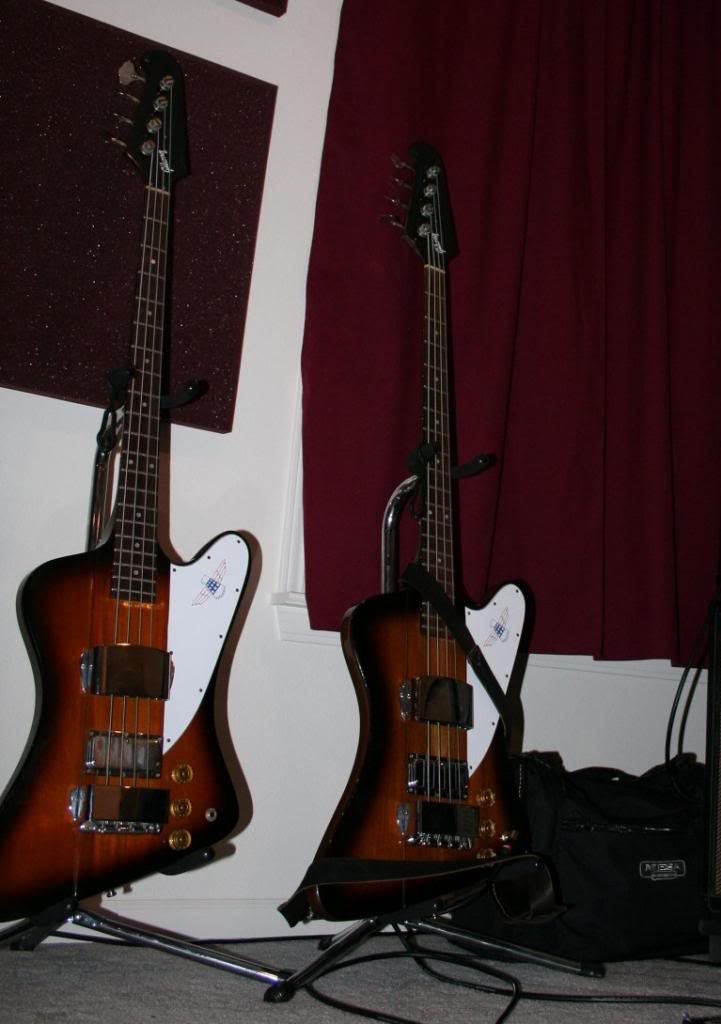 TwinBirds.jpg