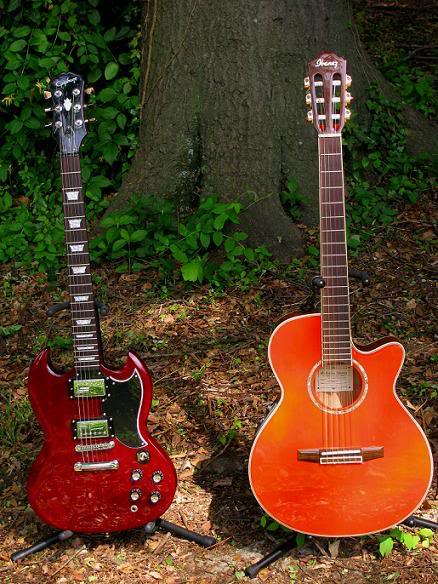 TwinGuitars.jpg