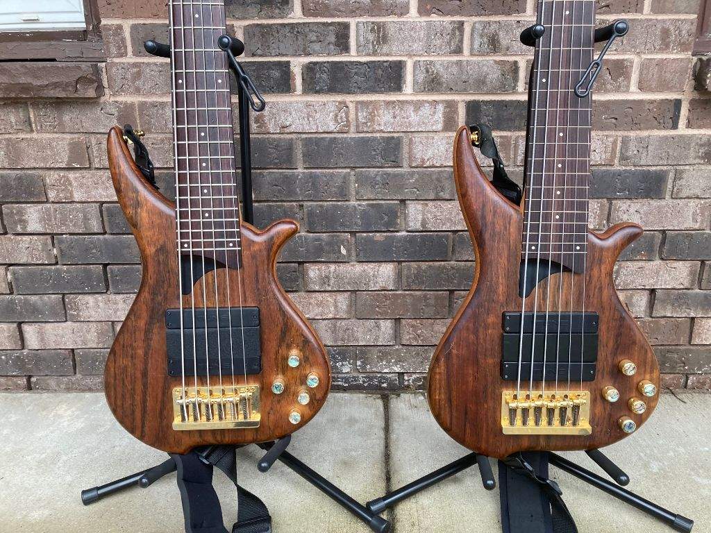 Twins.jpeg