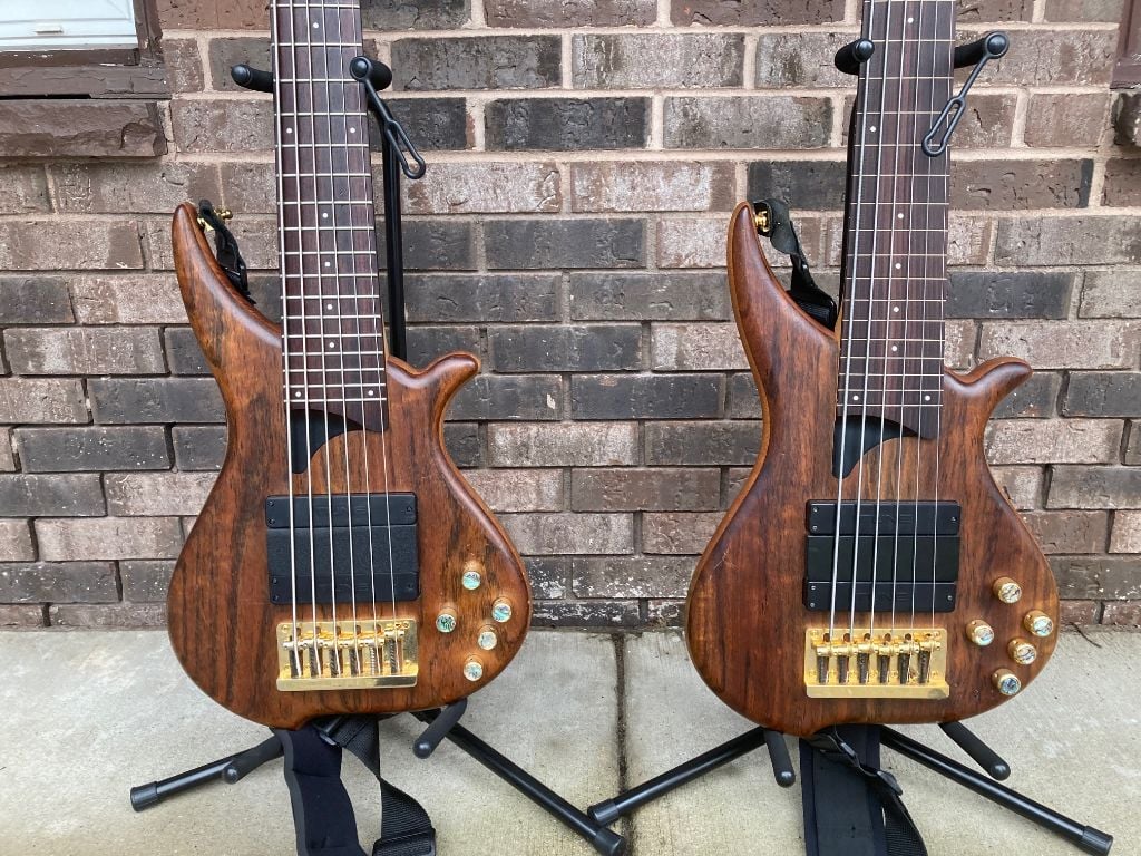 Twins.jpeg